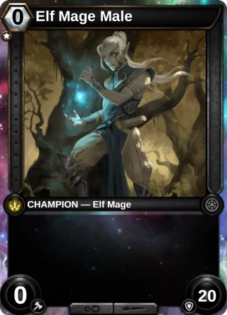 Elf Mage Male: the hero as a champion card
